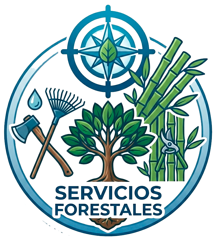 Service